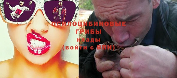 ПСИЛОЦИБИНОВЫЕ ГРИБЫ Михайловск