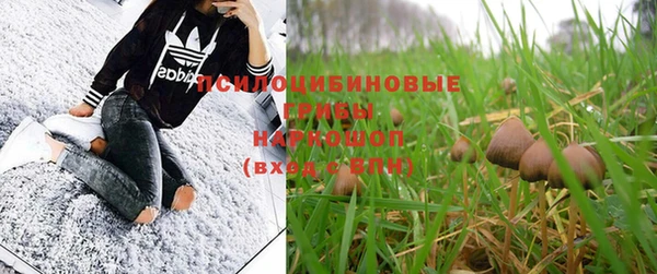 ПСИЛОЦИБИНОВЫЕ ГРИБЫ Михайловск