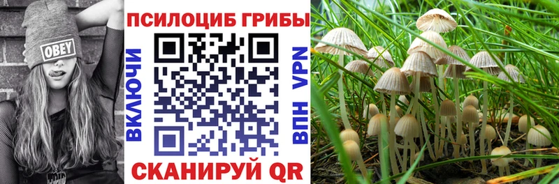 Галлюциногенные грибы мухоморы  Вытегра 