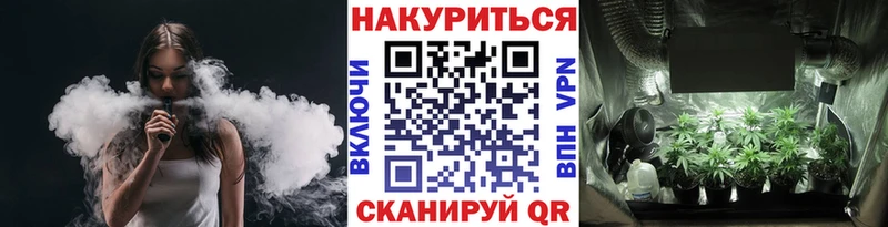 что такое наркотик  Вытегра  Каннабис сатива 